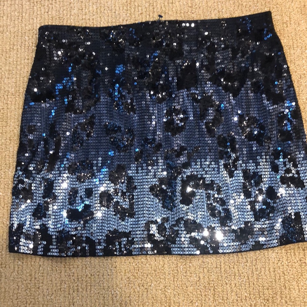 Express Skirt